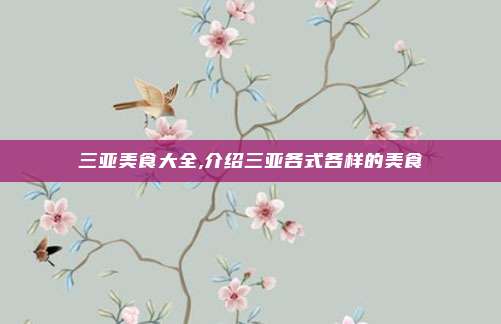 三亚美食大全,介绍三亚各式各样的美食