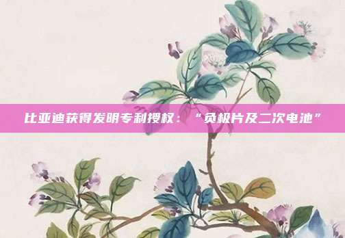 比亚迪获得发明专利授权：“负极片及二次电池”