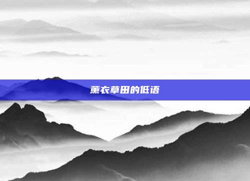 薰衣草田的低语