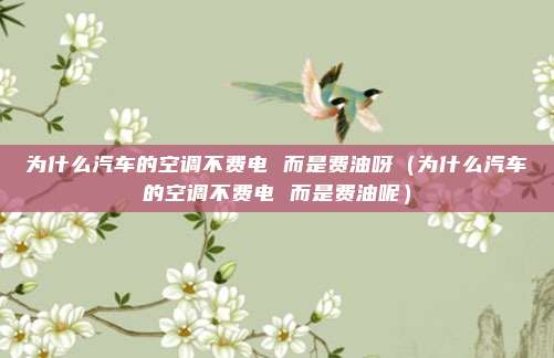 为什么汽车的空调不费电 而是费油呀(为什么汽车的空调不费电 而是费油呢)