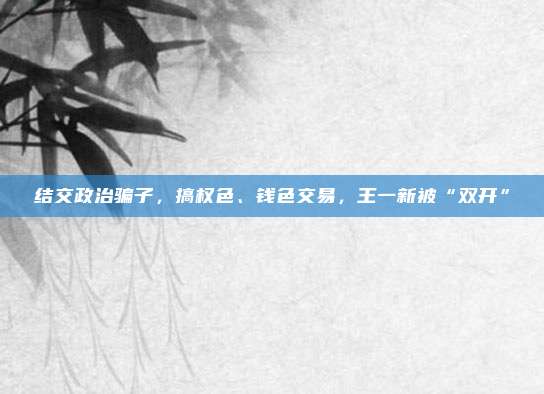 结交政治骗子，搞权色、钱色交易，王一新被“双开”