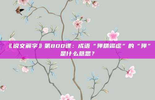 《说文解字》第800课：成语“殚精竭虑”的“殚”是什么意思？