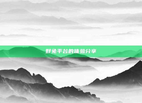 野兔平台的体验分享