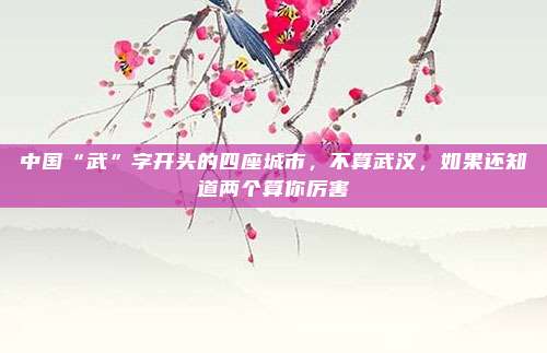中国“武”字开头的四座城市，不算武汉，如果还知道两个算你厉害