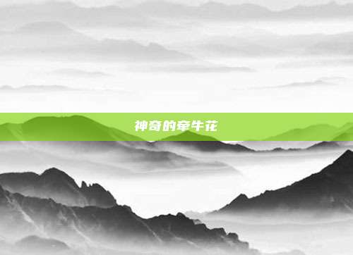 神奇的牵牛花