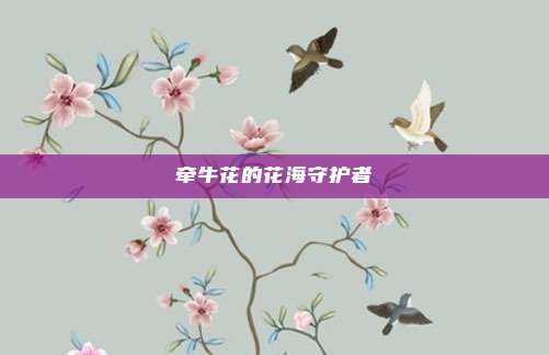 牵牛花的花海守护者