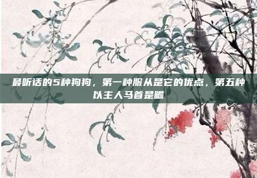 最听话的5种狗狗，第一种服从是它的优点，第五种以主人马首是瞻