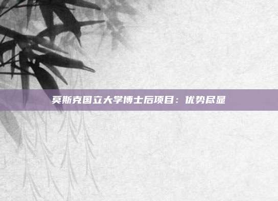 莫斯克国立大学博士后项目：优势尽显