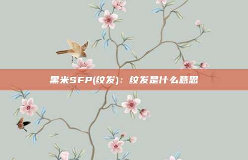 黑米SFP(纹发)：纹发是什么意思