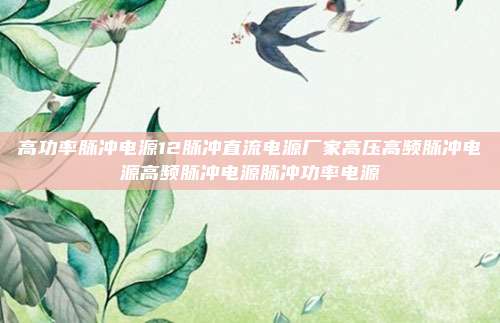 高功率脉冲电源12脉冲直流电源厂家高压高频脉冲电源高频脉冲电源脉冲功率电源