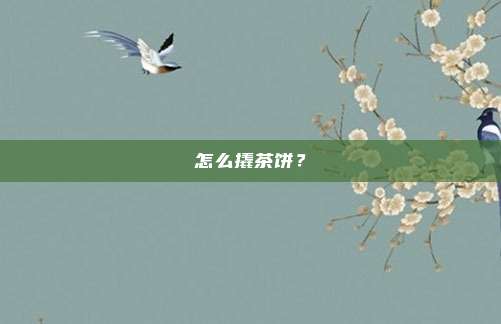 怎么撬茶饼?