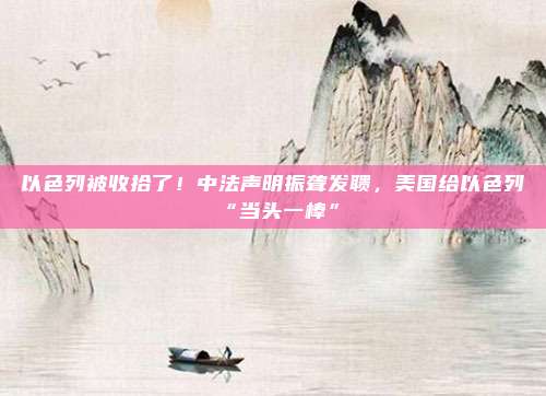 以色列被收拾了！中法声明振聋发聩，美国给以色列“当头一棒”