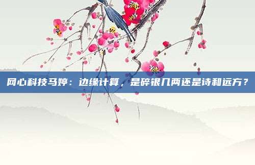 网心科技马婷：边缘计算，是碎银几两还是诗和远方？
