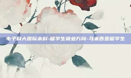 电子科大国际本科-留学生就业方向-马来西亚留学生