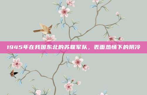 1945年在我国东北的苏联军队，表面热情下的阴冷