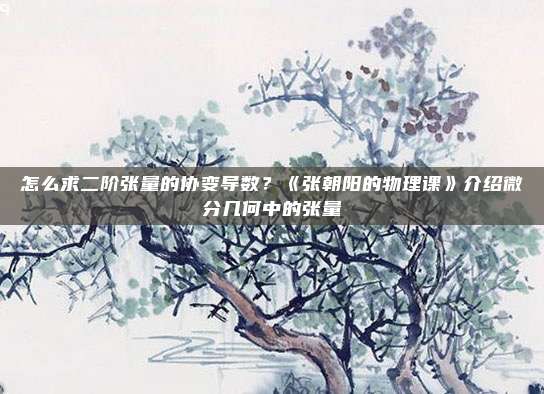怎么求二阶张量的协变导数？《张朝阳的物理课》介绍微分几何中的张量