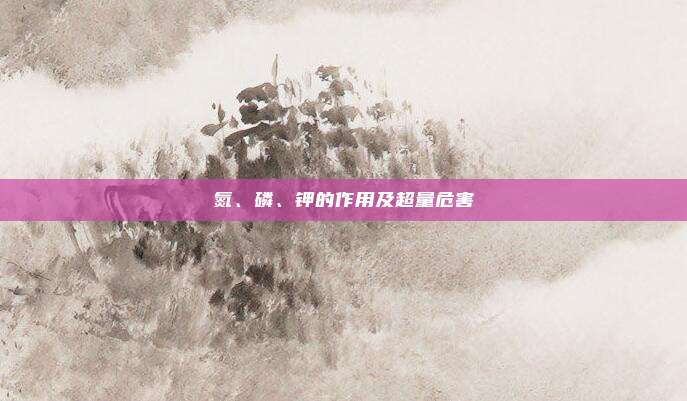 氮、磷、钾的作用及超量危害