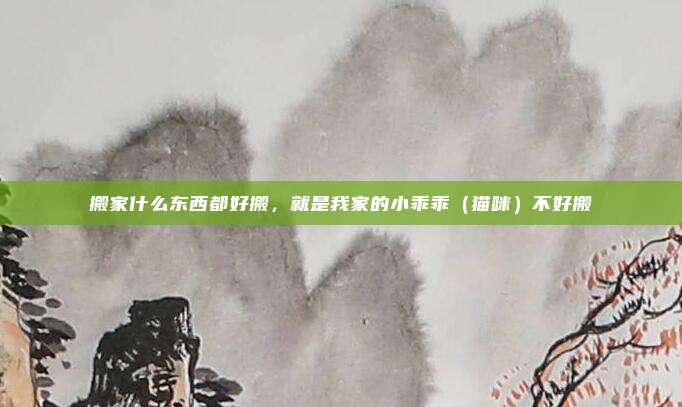 搬家什么东西都好搬，就是我家的小乖乖（猫咪）不好搬