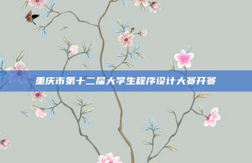 重庆市第十二届大学生程序设计大赛开赛