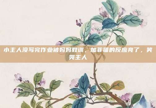 小主人没写完作业被妈妈教训，加菲猫的反应亮了，笑哭主人
