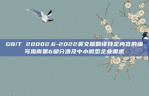 GB/T 20002.6-2022英文版翻译特定内容的编写指南第6部分涉及中小微型企业需求