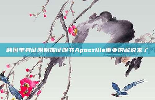 韩国单身证明附加证明书Apostille重要的解说来了