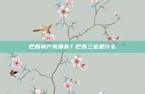 巴西特产有哪些?巴西三宝是什么