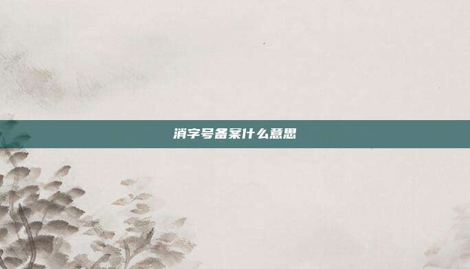 消字号备案什么意思