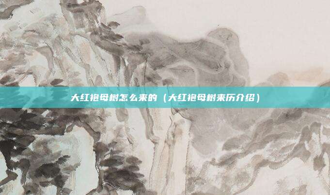 大红袍母树怎么来的(大红袍母树来历介绍)