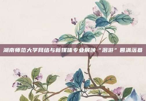 湖南师范大学网络与新媒体专业展映“洄游”圆满落幕