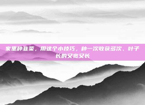 家里种韭菜，用这个小技巧，种一次收获多次、叶子长的又宽又长