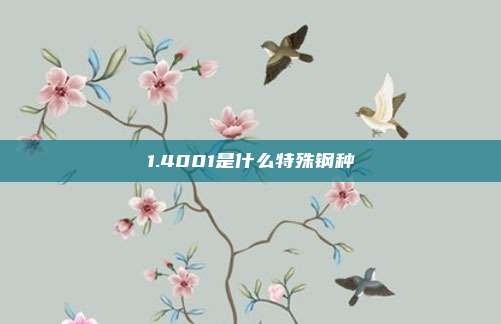 1.4001是什么特殊钢种