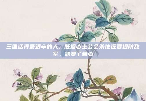 三国活得最艰辛的人，既担心主公会杀他还要提防敌军，煞费了苦心