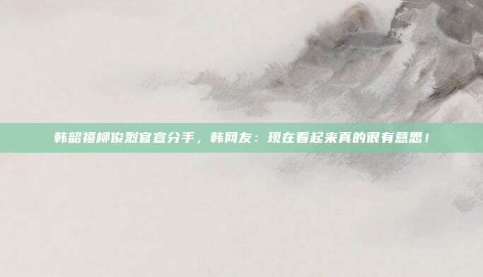 韩韶禧柳俊烈官宣分手，韩网友：现在看起来真的很有意思！