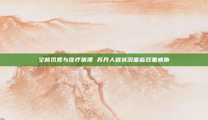 空前饥荒与医疗崩溃 苏丹人道状况面临双重威胁
