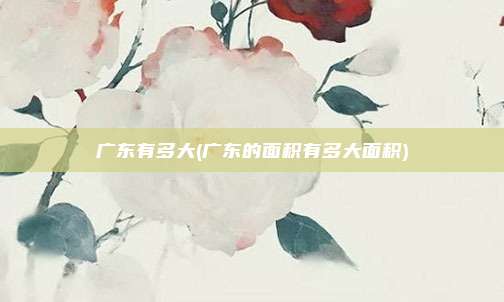 广东有多大(广东的面积有多大面积)
