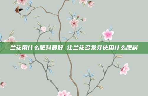 兰花用什么肥料最好 让兰花多发芽使用什么肥料