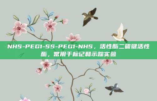 NHS-PEG1-SS-PEG1-NHS，活性酯二硫键活性酯，常用于标记和示踪实验
