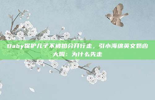 Baby保护儿子不被拍分开行走，引小海绵英文奶凶大叫：为什么先走