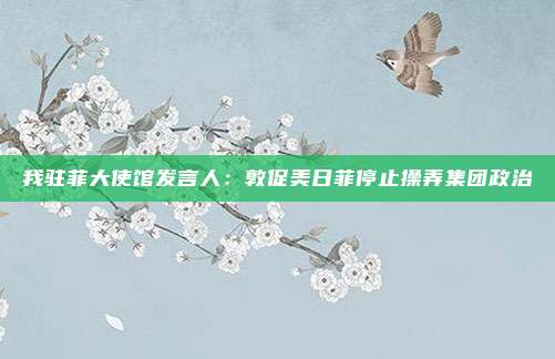 我驻菲大使馆发言人：敦促美日菲停止操弄集团政治