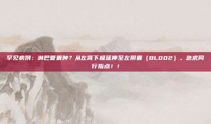 罕见病例：淋巴管囊肿？从左肾下极延伸至左阴囊（BL002）。急求同行指点！！