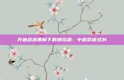 乔迪战术限制下的姚均晟：中超命途多舛