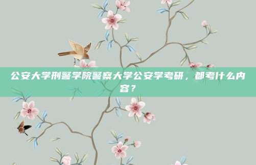 公安大学刑警学院警察大学公安学考研，都考什么内容？
