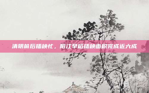 清明前后插秧忙，阳江早稻插秧面积完成近六成