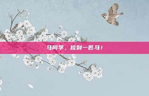 马同学，捡到一匹马！
