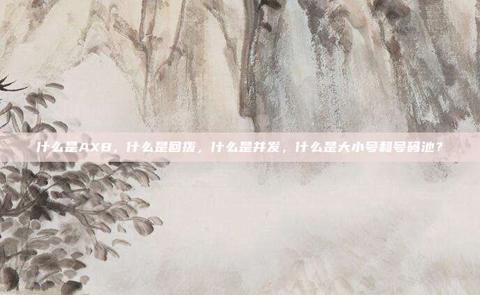 什么是AXB，什么是回拨，什么是并发，什么是大小号和号码池？