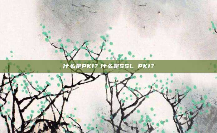 什么是PKI？什么是SSL PKI？