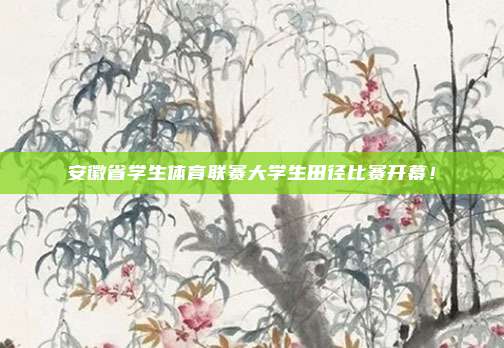 安徽省学生体育联赛大学生田径比赛开幕!