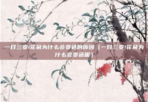 一日三变!花朵为什么会变色的原因(一日三变!花朵为什么会变色呢)