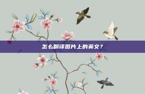 怎么翻译图片上的英文？